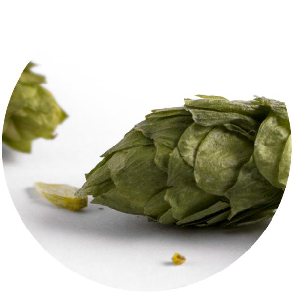 Tapones corona para cerveza